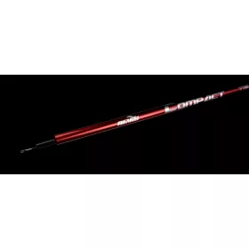 Compact Pole 300