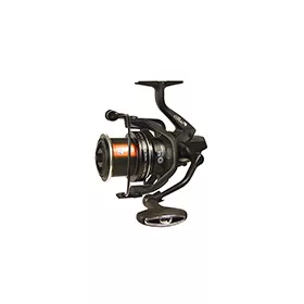 CARP EXPERT SCORE METHOD 6500