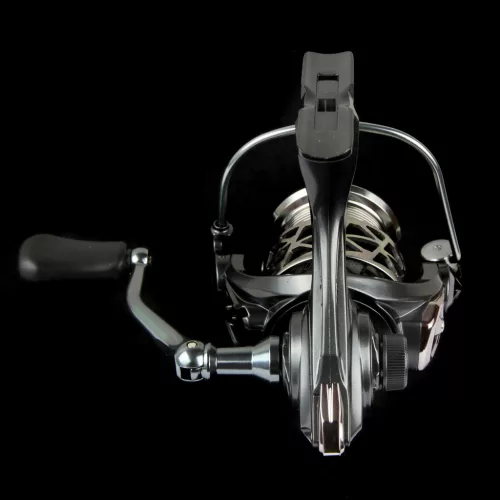 Motive Spin 30