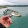 Reiva Ultra Strong Jig Head 1-2g  4db/cs