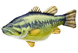 HALAS PÁRNA FEKETE SÜGÉR 67CM