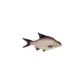 HALAS PÁRNA KESZEG 35CM