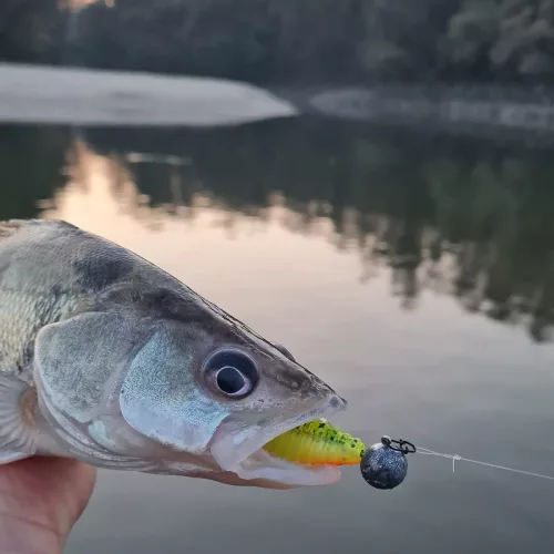 Fluorocarbon előke 2/cs 30cm/0,35mm