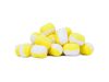 Sportcarp Carp Candies Scopex Shrimp (scopex-rák) 15mm 100ml