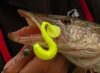 Swinger 9,5cm 3db/cs (Flash Chartreuse)