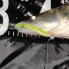 Zander Power Shad 12,5cm 3db/cs (Classic White)