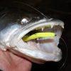 Flash Shad 10cm 4db/cs (Poppy Green)