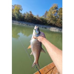 Blademaster 10,5g (Sunrise)