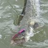 Blademaster II 60mm 15g (Pink Ghost)