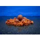 Bait Bait Yo-Da Ébredő Erő + Rodin Oldódó Csali 28mm 1kg
