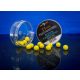 Bait Bait Rodin (A Gondolkodó) Fluo Wafters Mini Bojli+Betain 11mm 20g