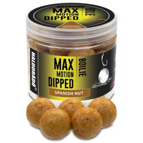   Haldorádó MAX MOTION Boilie Dipped 20 mm - Spanyol Mogyoró