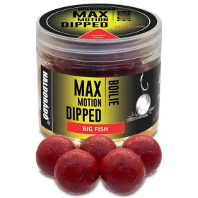 Haldorádó MAX MOTION Boilie Dipped 20 mm - Nagy Hal