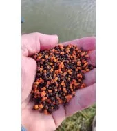 TOP MIX Dynamic Carp etető pellet, Csoki Narancs