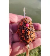 TOP MIX Dynamic Carp etető pellet, Csoki Narancs