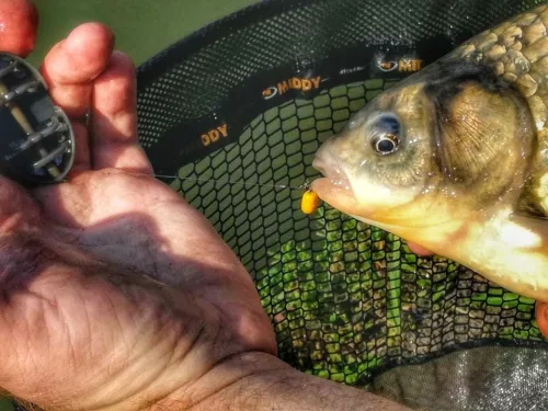 TOP MIX MagicCorn 3 x 25db, Eper