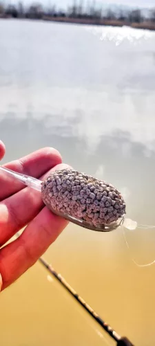 TOP MIX AQUA Betain Complex White