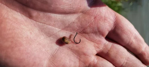 TOP MIX Aqua Wafters - Classic Uni 8