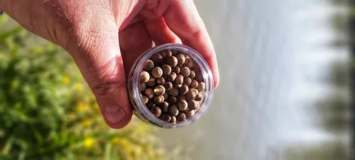 TOP MIX Aqua Wafters - Classic Uni 10