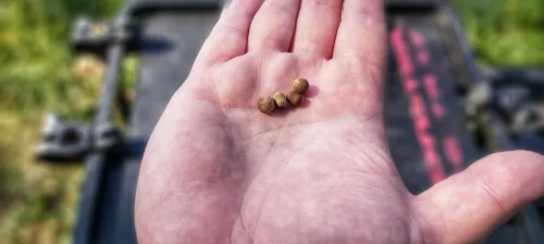 TOP MIX Aqua Wafters - Classic Uni 10